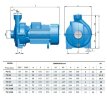 BC 6C (30/10,2), 1,1kW, 2880 thread port centrifugal pump