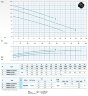 Tauchpumpe Dreno DNB 80-2/150 T/G mit S-förmigem zweikanaligem Laufrad