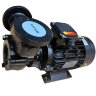 Bomba de aceite vortex WM-30, 380V -30°C+200°C