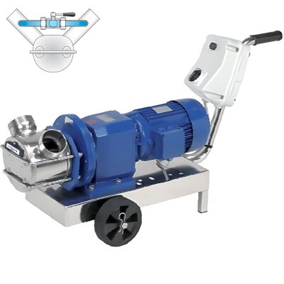 Impeller pump LIVERANI RID MAJOR 60 +BY-PASS NR TF 2.2 kW, 700 rpm, 380V with gearmotor with trolley with control panel CE, dry running protection