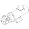 Liquid ring pump for oil transfer LIVERANI EP JUNIOR 1 1/4, 58 l/min, CC/24V, 0.45 kW, 2800 rpm, AISI 316, Seal Widia-SiC-Viton