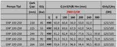 Einstufige Konsolenpumpe ENP 100–250, 90 kW, 2900 U/min auf Rahmen mit Motor