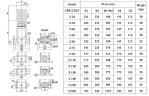 CDLF 2-100 насос питательный