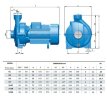 Насос для полива BC 560B (54/26,6), 5,5kW, 2880 с резьбовым соединением