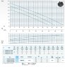 Tauchpumpe Dreno VT 80/2/173 C.354 mit VORTEX Laufrad