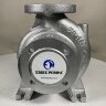 Hot oil pump EMSE EKY 50-160, 11 kW, 2900, without motor