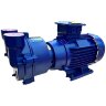 2BV2070 вакуумний насос водокільцевий