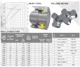 Pompe à lobes JKLB 250S 2 1/2 pouces, 3.3 m3/h, AISI 316 pour arômes