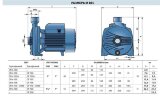Насос центробежный CPm 100