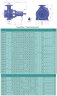 Einstufige freitragende Pumpe ENP 100-200, 200m3/h, 60m, 45 kW, 3000 U/min, Kohlenstoffstahl, Ex, PLAN 01 API SEAL