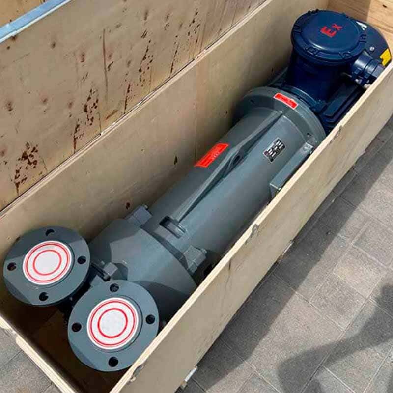 Вакуумний насос 2BV6131 Ex з нержавіючої сталі AISI 316, довга база