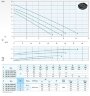 Tauchpumpe Dreno BIC EVO 50-2/150 T/G mit Zweikanallaufrad