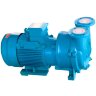 Vacuum pump 2BV5131