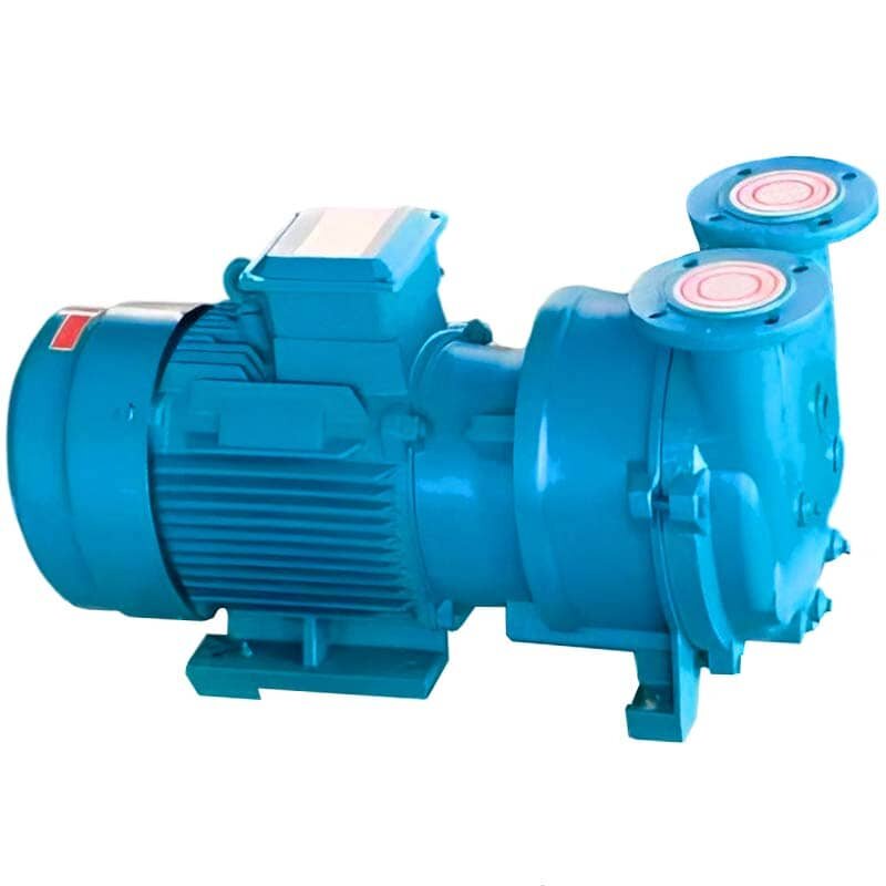 Vacuum pump 2BV5131