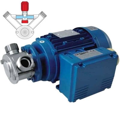 Impeller pump for liquid soap, lotion, cream LIVERANI EP MIDEX 1"1/4 +BY-PASS NR TF/I 0.56 kW, 900 rpm, 380V with reversing switch