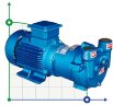 2BV2061 Wasserring-Vakuumpumpe
