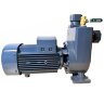 BXZm 20-32-2,2kW, 2900, 220V, imp:AISI 304 Pompe de drainage d'eaux usées