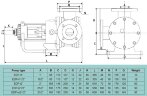 Bitumen gear pump EMSE EDP-I 2 1/2 in., 25 m3/h, 3 bar, 4 kW, 500 rpm, 380 V, 50 Hz with internal gearing with heating jacket, reduction motor