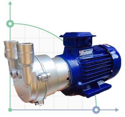 Vacuum pump 2BV2061 (AISI 304)