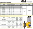 GM25/1.0, AISI 316, 380V, EExd IIBT4 membranowa pompa silnikowa do dozowania roztworów alkalicznych