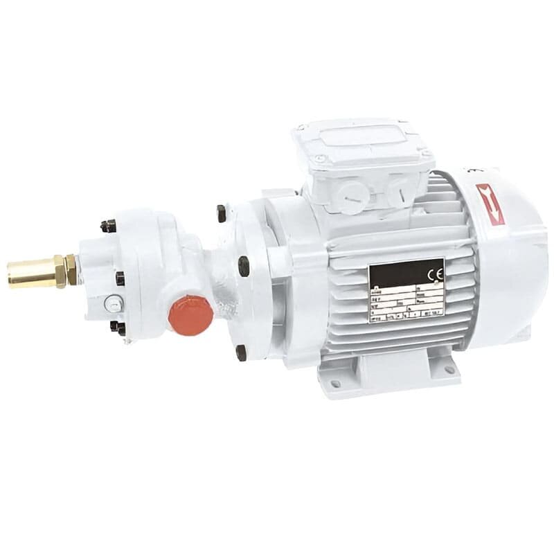Zahnradpumpe zum Fördern von Rapsöl LIVERANI GEAR 50-G MF 1,1 kW, 1400 U/min, 220 V