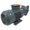 2BV2061, AISI 316 вакуумный  насос для выпарных аппаратов