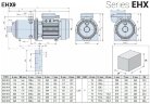 Горизонтальный многоступенчатый насос для систем обратного осмоса EHX 9/8, 3 кВт, 14,4 м3/ч, 96м, 380V/T, AISI 304 (EBARA MATRIX)