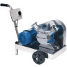 Impeller pump for wine, must LIVERANI GR MAJOR 60 +BY-PASS NR MF (A) 1.5 kW, 300 rpm, 220V belt-driven with trolley with a standard control panel