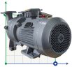 2BV5111, AISI 316 вакуумный насос для агрессивных газов