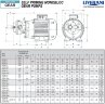 Bomba de engranajes para bombeo de aceite de colza LIVERANI GEAR 60-G MF 1,5 kW, 1400 rpm, 220 V