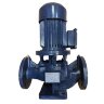 IRG BGL 65-125(I) (50/20), 5,5kW, 2880 насос центробіжний вертикальний