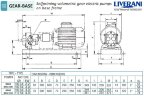 Bomba de engranajes para bombeo de aceite de soja LIVERANI GEAR BASE 100-G TF 2,2 kW, 1400 rpm, 380 V