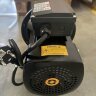 CD-26ST, AISI 304 Pumpe rostfrei für Öl, Milch, Bier