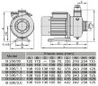 DWO B300/1,1 T, 380 V/50 Hz, AISI 304 Edelstahlpumpe für Wasser