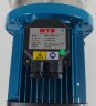 DWO B300/1,1 T, 380 V/50 Hz, AISI 304 Edelstahlpumpe für Wasser