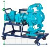 Мембранный насос с электроприводом DP20E ALSN
