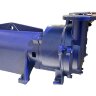 Vacuum pump 2BV5131 Ex (AISI 316)