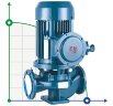 Centrifugal vertical pump IRG BGLB 125-160A (69,3/6), 2,2kW, 1480 Ex