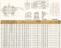 Шестеренчастий насос JKRN 100 1 дюйм, 3,6 m3/h, CI з чавуну