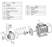 DWO B50/037, 380V/50Hz, AISI 304 Pumpe für Maische, Saft, Wein, Bier