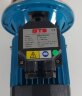 DWO B50/037, 380V/50Hz, AISI 304 Pumpe für Maische, Saft, Wein, Bier