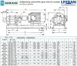 Bomba de engranajes para bombeo de aceite de girasol, colza y soja LIVERANI GEAR BASE 250-G/M TF 7,5 kW, 1400 rpm, 380 V