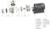 Bomba centrífuga para ácido octadecanoico QHS-100-10, AISI 316
