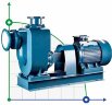 Pompe auto-amorçante pour le pompage des eaux de crue BZWM65-25-50/2, 11kW, 2900