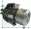Насос для творожной массы AlphaDynamic AD30.1/01 0,55kW импеллерный