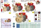 BE-T 25 liquid ring pump
