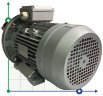 AlphaDynamic Sunflower oil pump AD40.1/01 2.2kW impeller