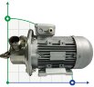 AlphaDynamic Sunflower oil pump AD40.1/01 2.2kW impeller